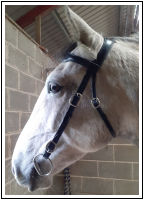 Bridlework