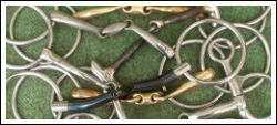 Bridlework